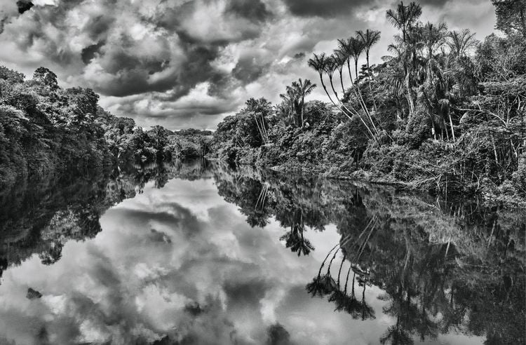 Produktbild: Amaz&ocirc;nia. Sebasti&atilde;o Salgado