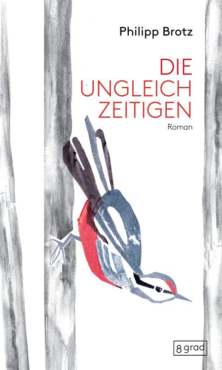 Produktbild: Die Ungleichzeitigen