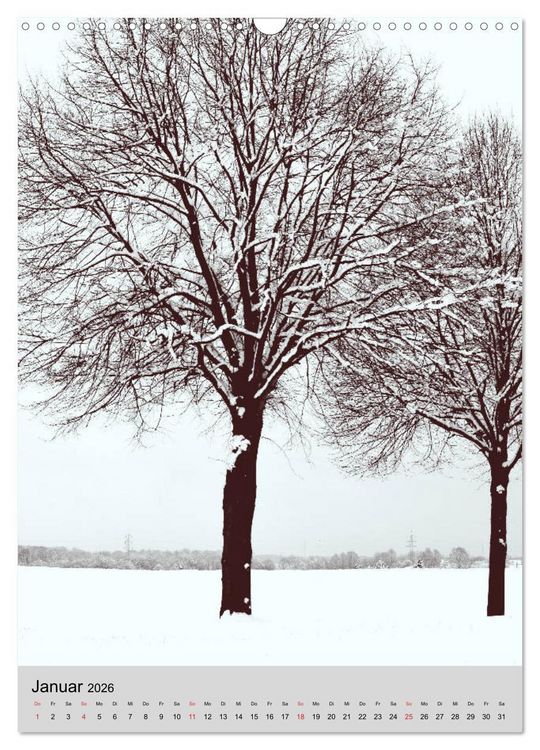 Produktbild: Natur monochrom Die besondere Wirkung (Wandkalender 2026 DIN A3 hoch), CALVENDO Monatskalender