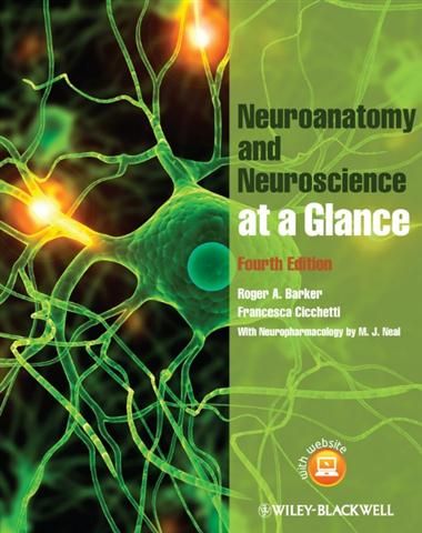 Produktbild: Neuroanatomy and Neuroscience at a Glance