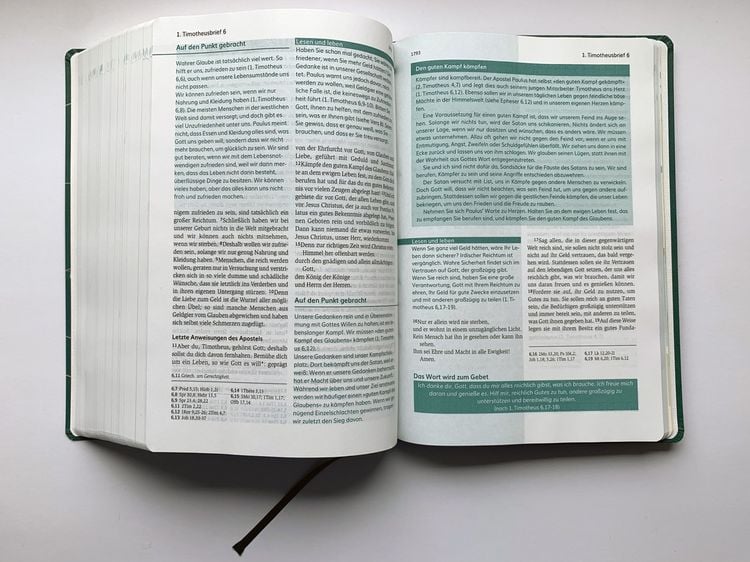 Produktbild: Die Bibel mit Impulsen von Joyce Meyer