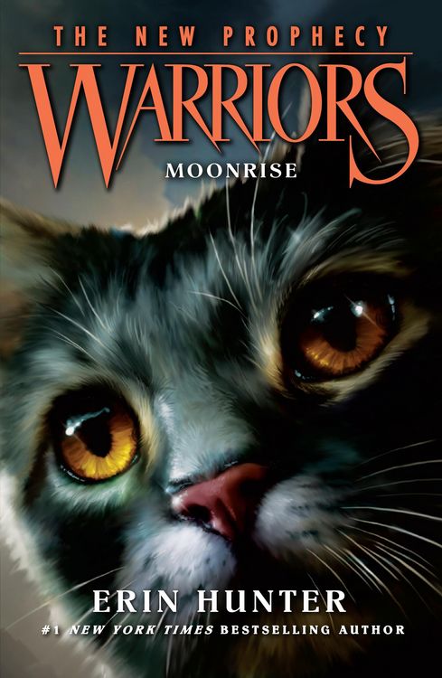 Produktbild: Moonrise