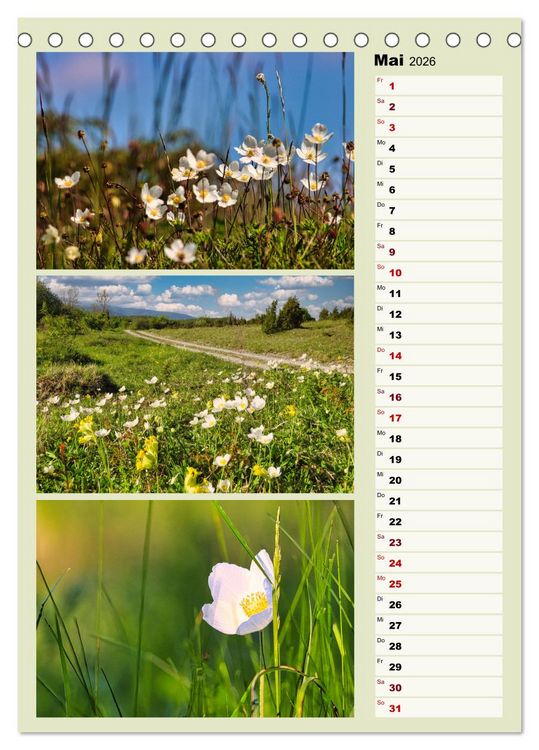 Produktbild: Harmonie der Farben in Landschaft und Natur (Tischkalender 2026 DIN A5 hoch), CALVENDO Monatskalender