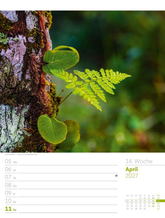Produktbild: Unser Wald Wochenplaner Kalender 2027