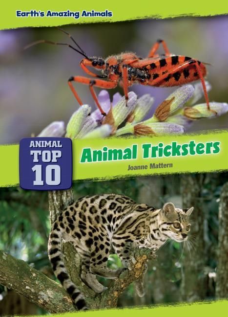 Produktbild: Animal Tricksters