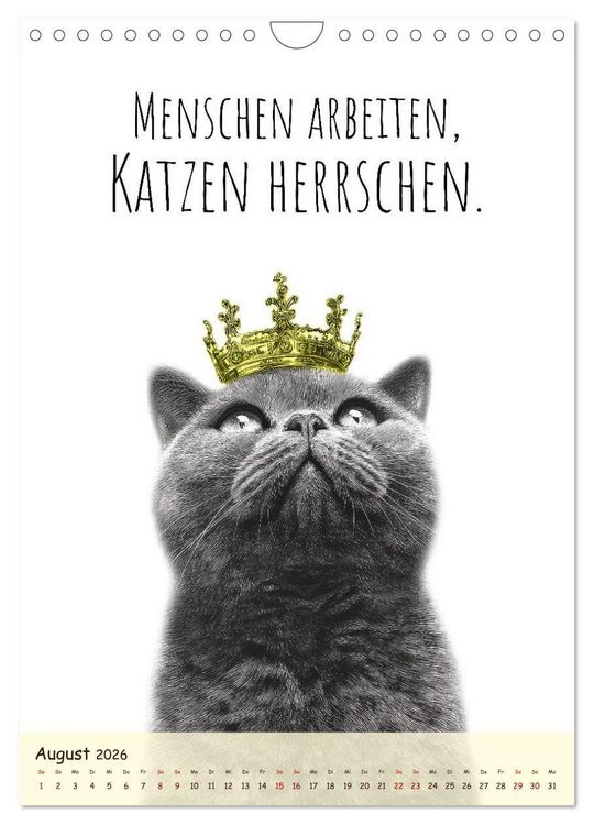Produktbild: Katzenkult - Coolness auf vier Pfoten (Wandkalender 2026 DIN A4 hoch), CALVENDO Monatskalender