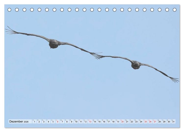Produktbild: Kraniche auf dem Weg nach S&uuml;den (Tischkalender 2026 DIN A5 quer), CALVENDO Monatskalender