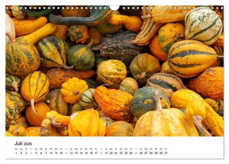 Produktbild: K&Uuml;RBIS KALENDER - Die sch&ouml;nsten K&uuml;rbisse des Jahres (Wandkalender 2026 DIN A3 quer), CALVENDO Monatskalender