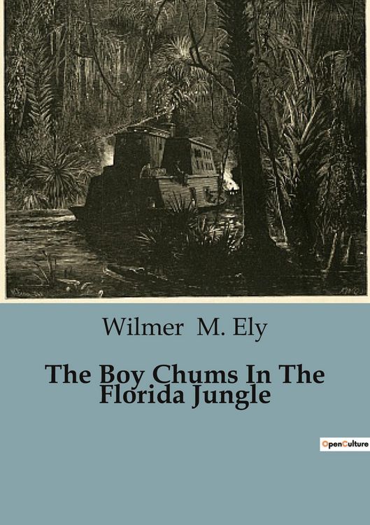 Produktbild: The Boy Chums In The Florida Jungle