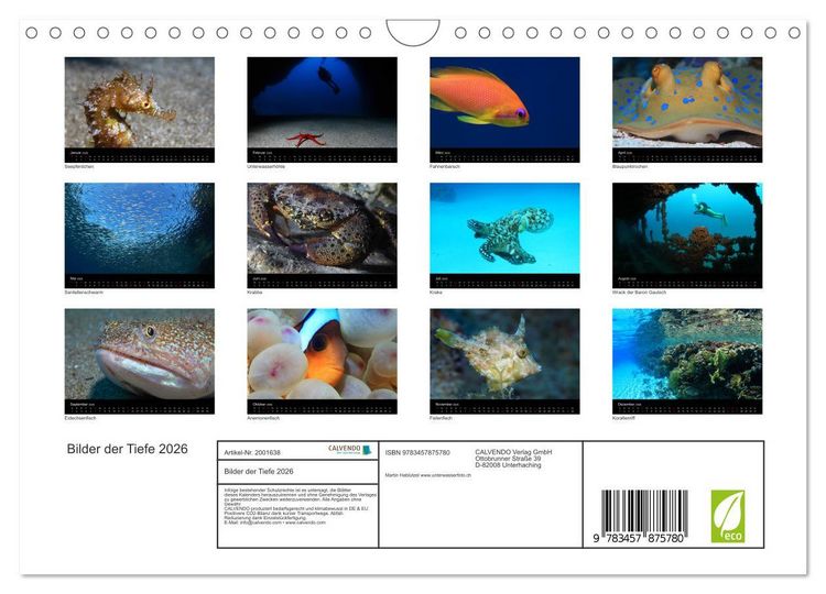 Produktbild: Bilder der Tiefe 2026 (Wandkalender 2026 DIN A4 quer), CALVENDO Monatskalender
