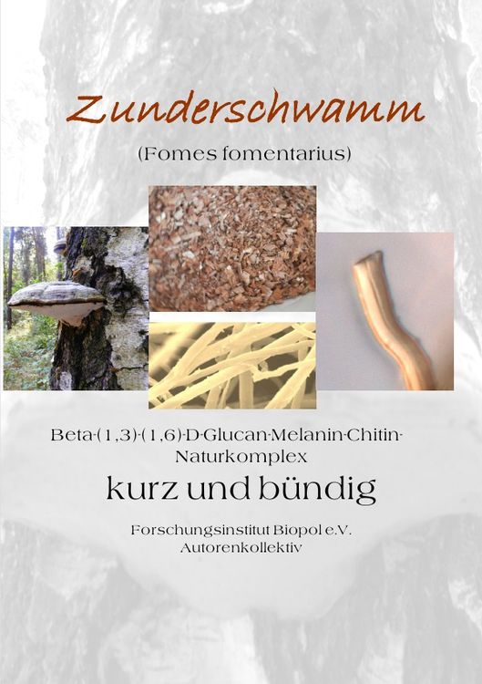 Produktbild: Ver&ouml;ffentlichungen des Forschungsinstitutes Biopol / Zunderschwamm Beta-(1,3)-(1-6)-D-Glucan-Melanin-Chitin-Naturkomplex kurz und b&uuml;ndig