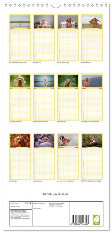 Produktbild: Familienplaner 2026 - DACKELmix Elli Pirelli mit 5 Spalten (Wandkalender, 21 x 45 cm) CALVENDO