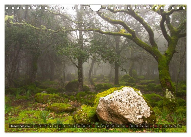 Produktbild: Sardinien Sardigna Sardegna Sardenya 2026 (Wandkalender 2026 DIN A4 quer), CALVENDO Monatskalender
