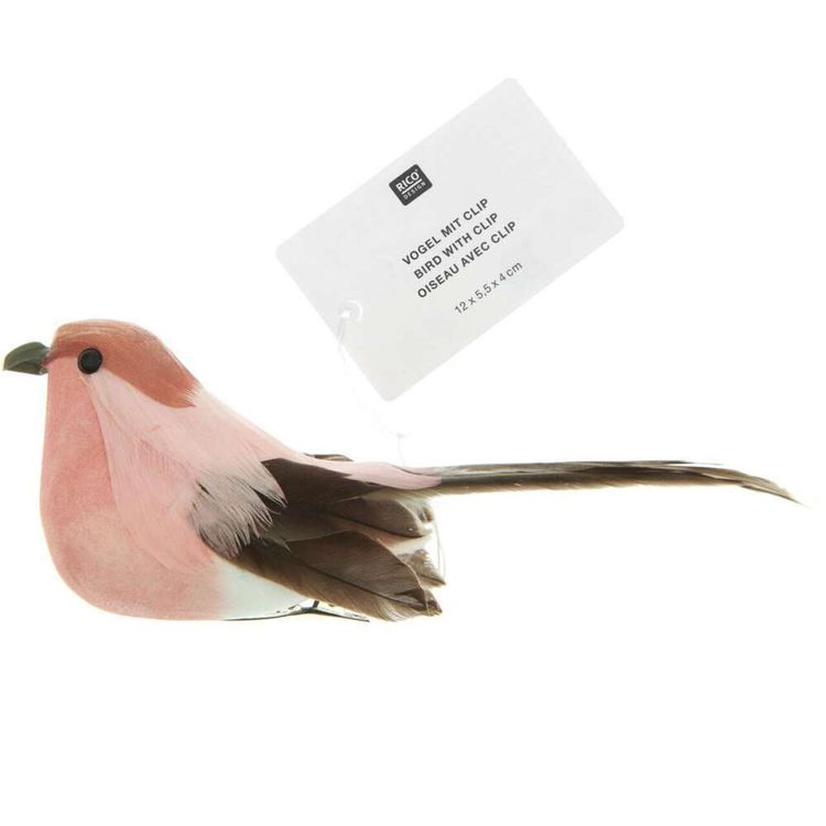 Produktbild: Vogel, Apricot