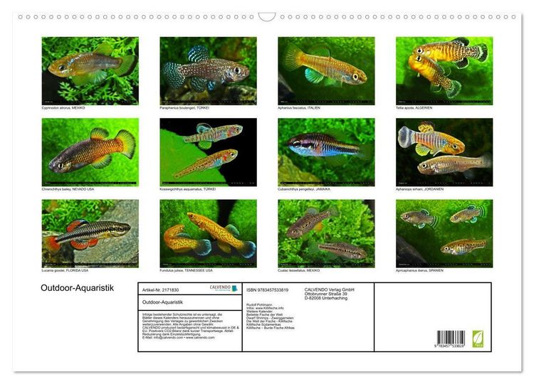 Produktbild: Outdoor-Aquaristik (Wandkalender 2026 DIN A2 quer), CALVENDO Monatskalender