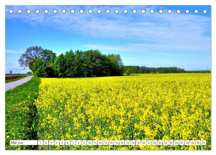 Produktbild: Gr&uuml;nes Estland - Naturparadies am Baltischen Meer (Tischkalender 2026 DIN A5 quer), CALVENDO Monatskalender