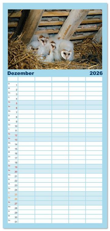 Produktbild: Familienplaner 2026 - Das Leben der Eulen, die Damen der Nacht mit 5 Spalten (Wandkalender, 21 x 45 cm) CALVENDO