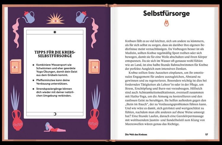 Produktbild: Krebs