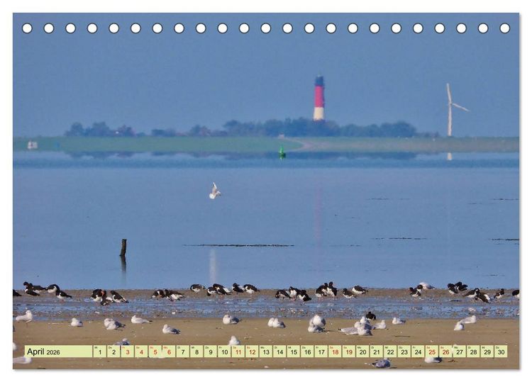 Produktbild: Sonne, Sand und Meer. Farben der K&uuml;ste (Tischkalender 2026 DIN A5 quer), CALVENDO Monatskalender