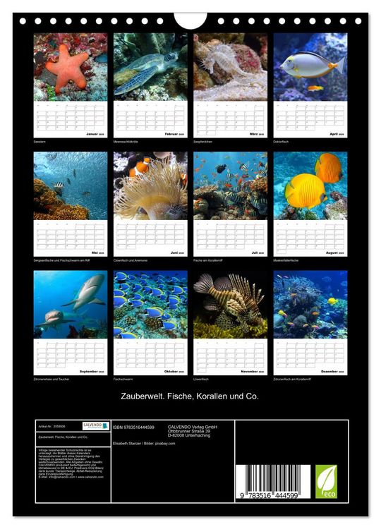 Produktbild: Zauberwelt. Fische, Korallen und Co. (Wandkalender 2026 DIN A4 hoch), CALVENDO Monatskalender
