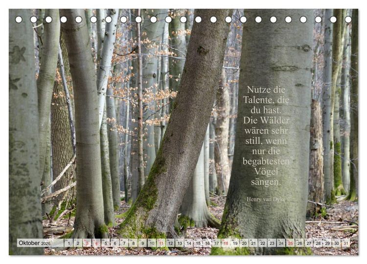 Produktbild: Weises (Tischkalender 2026 DIN A5 quer), CALVENDO Monatskalender