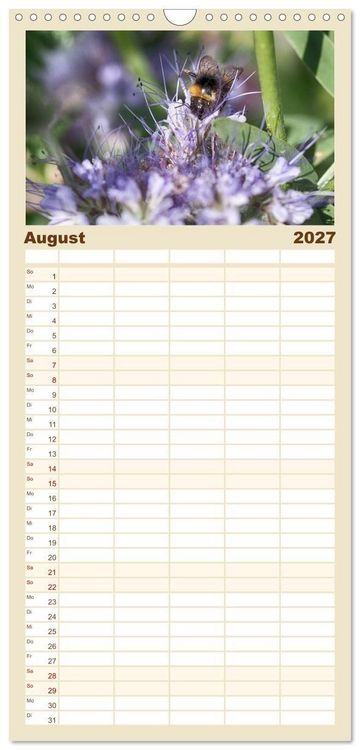 Produktbild: Familienplaner 2027 - Hummelflug mit 5 Spalten (Wandkalender, 21 x 45 cm) CALVENDO