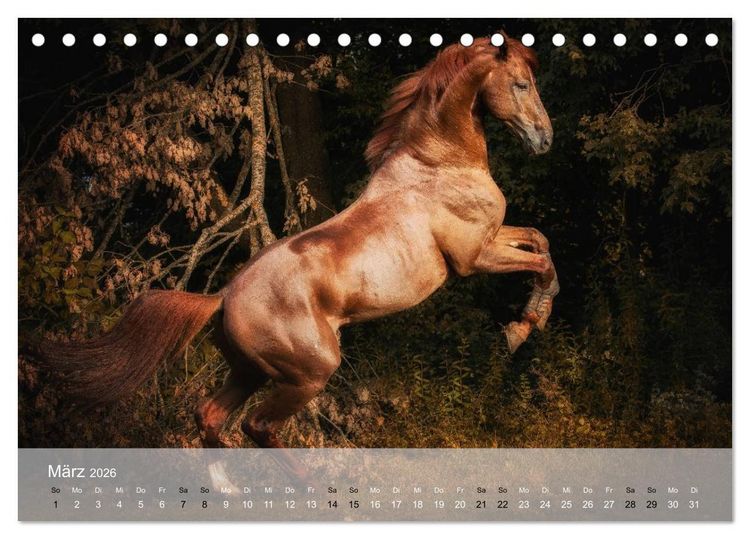 Produktbild: Pferde - Anmut und St&auml;rke gepaart mit Magie (Tischkalender 2026 DIN A5 quer), CALVENDO Monatskalender