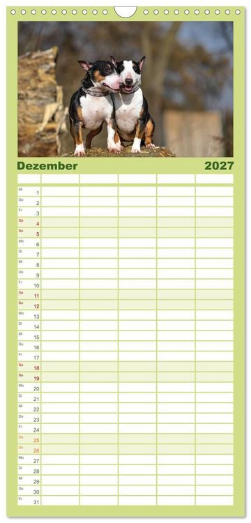 Produktbild: Familienplaner 2027 - Einmal Bullterrier - immer Bullterrier mit 5 Spalten (Wandkalender, 21 x 45 cm) CALVENDO