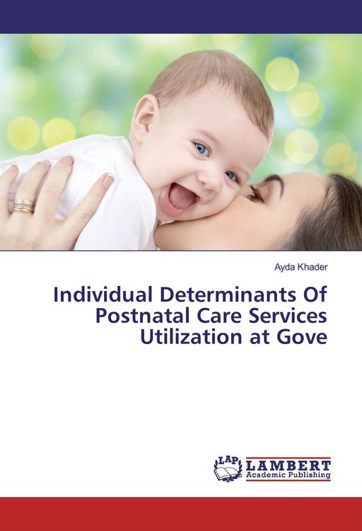 Produktbild: Individual Determinants Of Postnatal Care Services Utilization at Gove