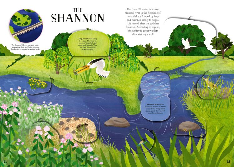 Produktbild: The River of Life