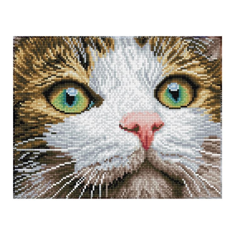 Produktbild: Diamond Dotz Katze mit gr&uuml;nen Augen