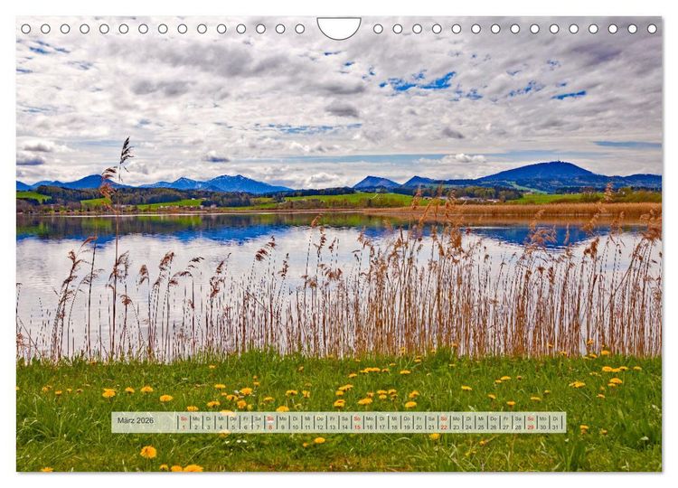 Produktbild: Rund um den Wallersee (Wandkalender 2026 DIN A4 quer), CALVENDO Monatskalender