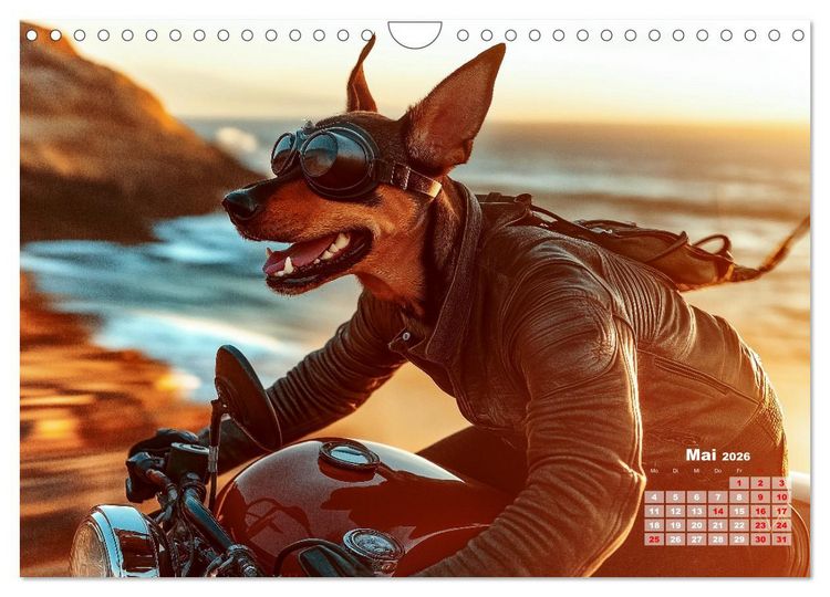 Produktbild: S&uuml;&szlig;e Hunde cruisen - durch das Jahr mit dem Hundekalender (Wandkalender 2026 DIN A4 quer), CALVENDO Monatskalender