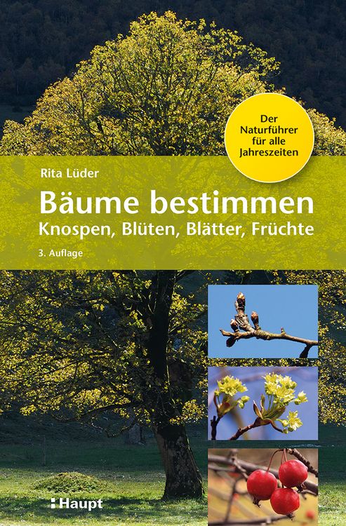 Produktbild: B&auml;ume bestimmen - Knospen, Bl&uuml;ten, Bl&auml;tter, Fr&uuml;chte