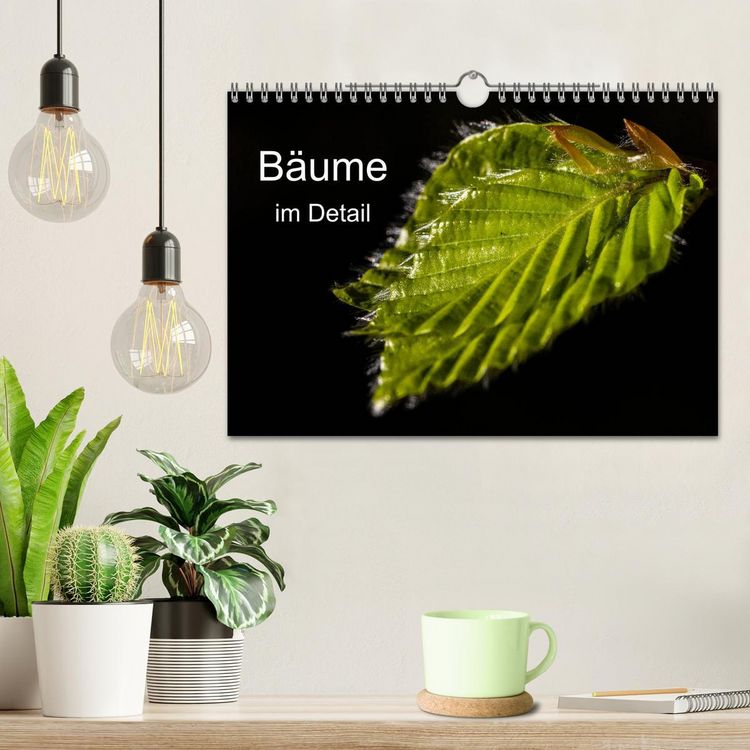 Produktbild: B&auml;ume im Detail (Wandkalender 2026 DIN A4 quer), CALVENDO Monatskalender