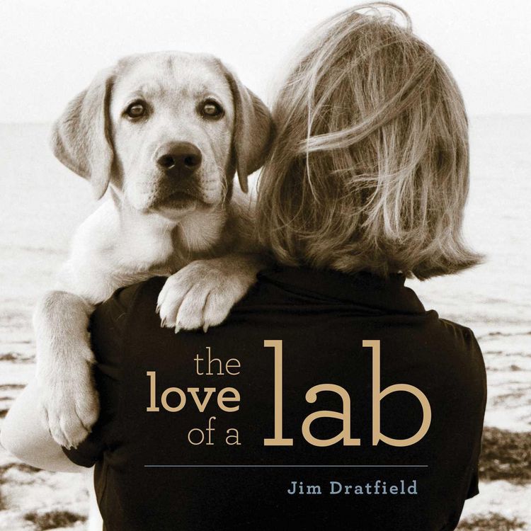 Produktbild: The Love of a Lab