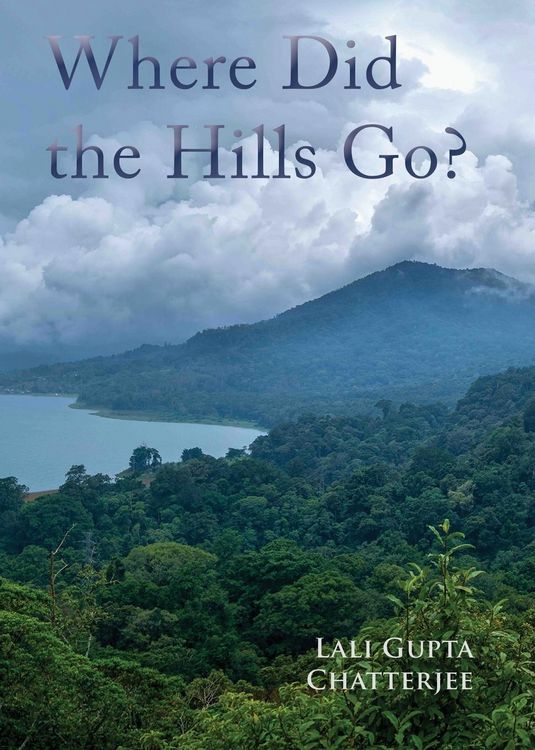 Produktbild: Where Did the Hills Go