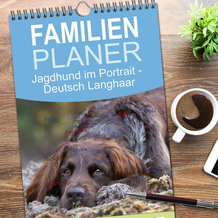 Produktbild: Familienplaner 2026 - Jagdhund im Portrait - Deutsch Langhaar mit 5 Spalten (Wandkalender, 21 x 45 cm) CALVENDO
