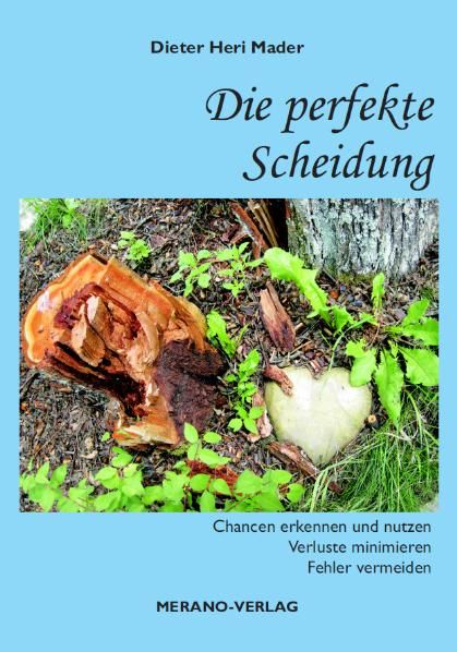 Produktbild: Die perfekte Scheidung