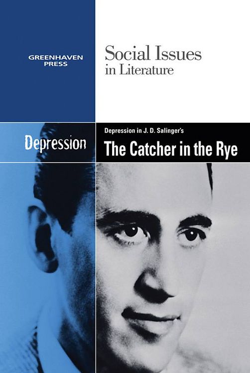 Produktbild: Depression in Jd Salingers The