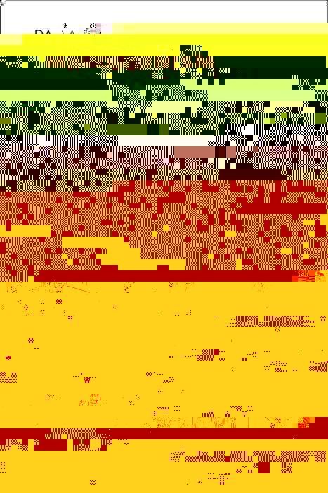 Produktbild: Paradoxy of Modernism