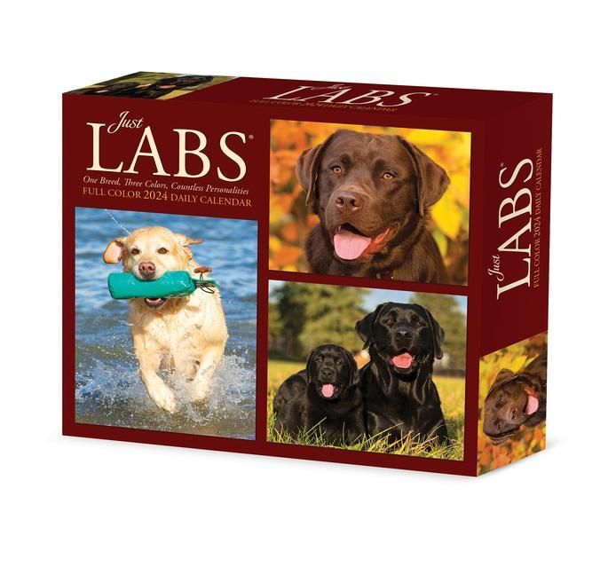 Produktbild: Willow Creek Press: Labs 2024 6.2 X 5.4 Box Calendar
