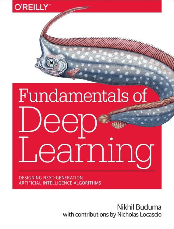 Produktbild: Fundamentals of Deep Learning