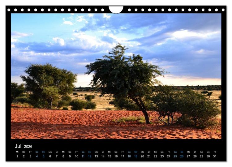 Produktbild: Namibia 2026 Farben der W&uuml;ste (Wandkalender 2026 DIN A4 quer), CALVENDO Monatskalender