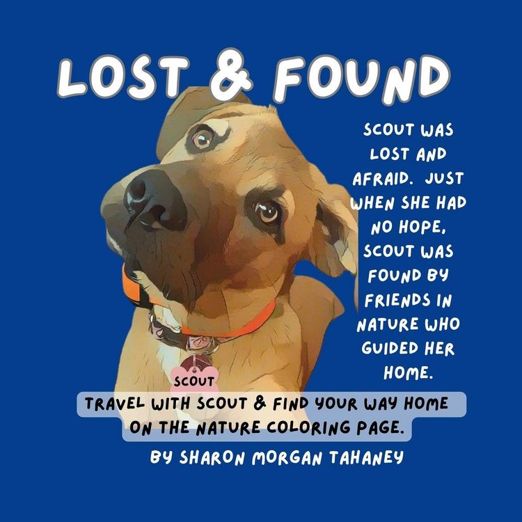 Produktbild: Lost & Found