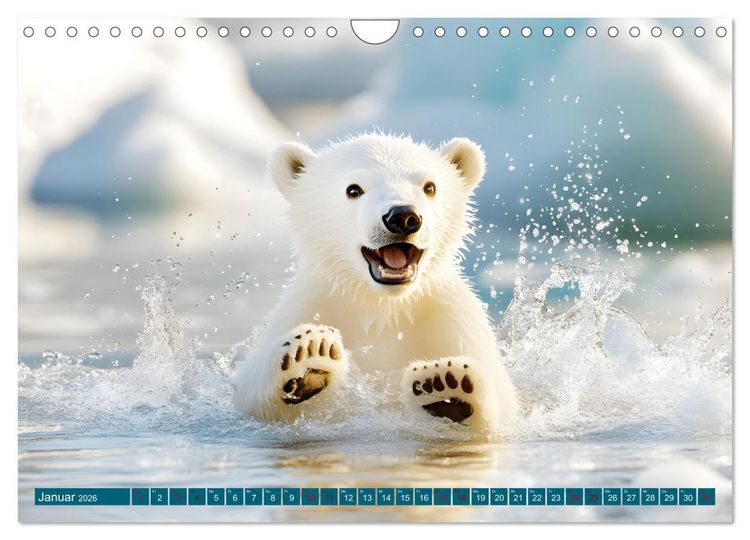 Produktbild: Plitsch, Platsch, tierisch nass (Wandkalender 2026 DIN A4 quer), CALVENDO Monatskalender