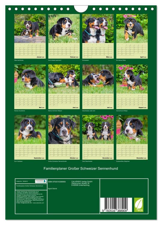 Produktbild: Familienplaner Gro&szlig;er Schweizer Sennenhund (Wandkalender 2026 DIN A4 hoch), CALVENDO Monatskalender