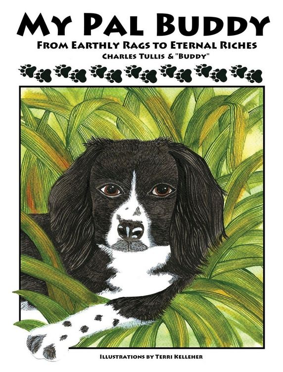 Produktbild: My Pal Buddy