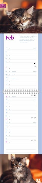 Produktbild: Whiskas Katzenleben Kalender 2027