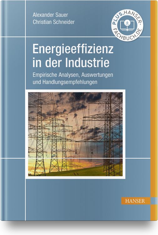 Produktbild: Energieeffizienz in der Industrie